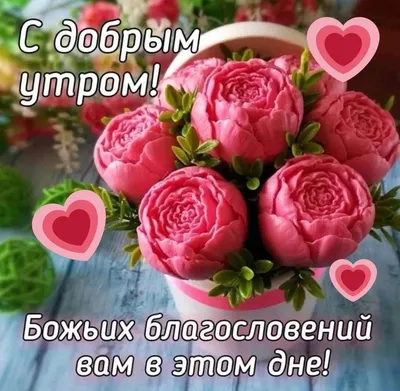 ○๑❤Красивый форум❤๑○• — Доброе Утро.., День.., Вечер! |  | Доброе утро,  Христианские картинки, Праздничные открытки