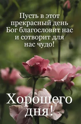 Создать мем "доброе утро благословений, благословенного вечера, благословенного  дня" - Картинки - 