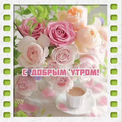 Открытка с добрым утром с розами и чашкой какао - скачать