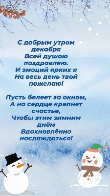 Картинка "С добрым зимним утром!", с прикольным котиком • Аудио от Путина,  голосовые, музыкальные