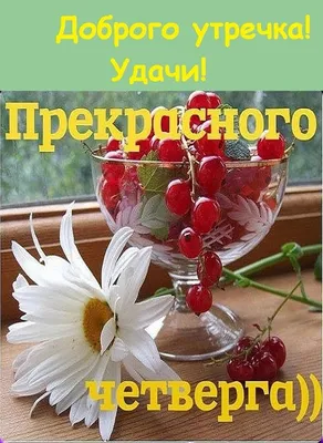 Картинки с добрым утром четверга — 🎁 Скачать бесплатно картинки с  пожеланиями на 