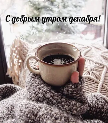 Instagram post by Natalia Elkhova • Dec 2, 2021 at 11:28pm UTC | Доброе  утро, Зима, Разное