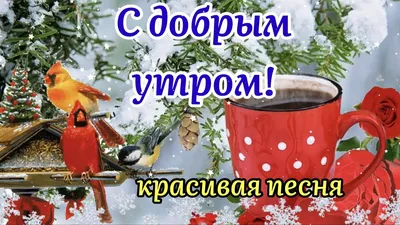 С Добрым Утром 14 Февраля! ☕️❄️Привет Февраль! Красивая Песня! Музыкальная  Открытка Пожелание - YouTube