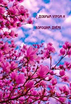 Пожелания хорошего, удачного дня — открытки и картинки - Телеграф