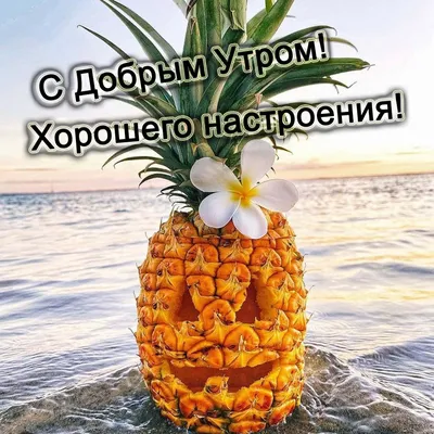 Доброе утро ! Хорошего дня и замечательного настроения!