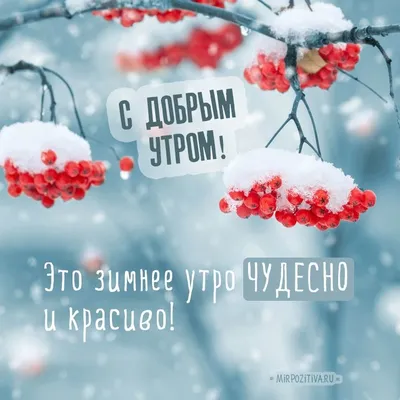 С добрым утром, январь на пороге! Доброго январского утра и хорошего  настроения! Открытки с сердечками и розами! Январское утро за окном...  Просыпайся! Посмотри... | Страница 4