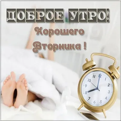 Доброе утро вторника (250 картинок и открыток)