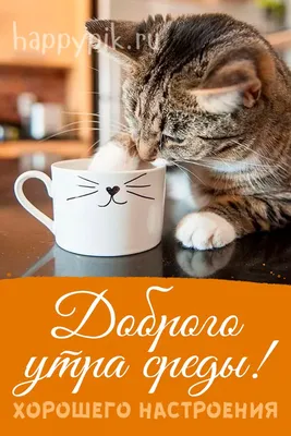 Чудесной среды! 💝 | Открытки, Доброе утро, Среда