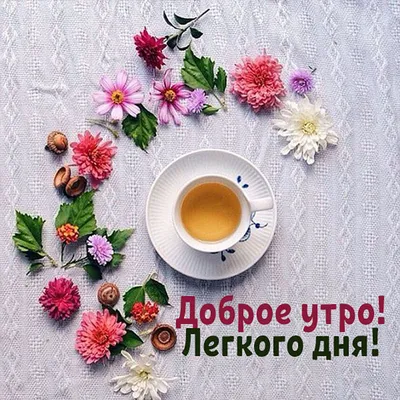 Утро бывает добрым цитаты - 📝 Афоризмо.ru