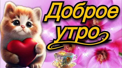 💗☕️🌷Доброе Утро! Хорошего Дня! Заряд Позитива на Весь День!💞 - YouTube