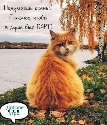 С добрым утром!