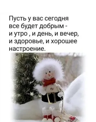 С Днем рожденья, Леночка! — обсуждение в группе "Разговоры обо всем" |  Птичка.ру