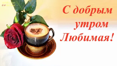 С добрым утром любимая моя картинки и пожелания романтичные