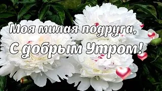 Открытки с добрым утром подруге