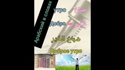 доброе утро доброго дня красивые открытки картинки | Доброе утро, Утренние  цитаты, Идеи для дней рождения