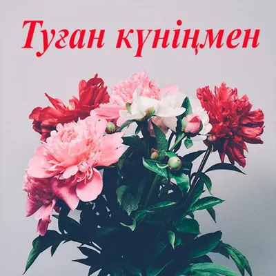 доброеутро #клипы2020 #рецепты #жизненно #кавказ #дагестан #цитата #п... |  TikTok