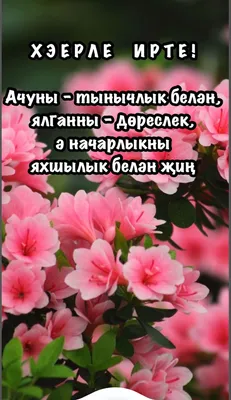 Туган конен белэн лилия открытка татарча (50 фото) » рисунки для срисовки  на Газ-квас.ком