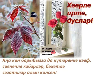 Доброе утро на татарском языке мусульманские картинки со словами (49 фото)  » Красивые картинки, поздравления и пожелания - 