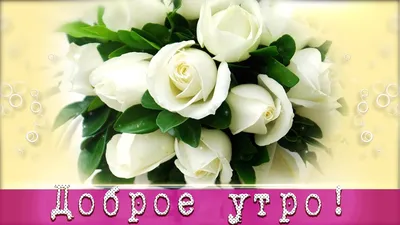 🌞Доброе утро! Хорошего дня!🌞Анимационная открытка для #WhatsApp - YouTube  | Открытки, Картинки, Доброе утро