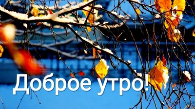 Открытки с добрым утром. Страница 3.