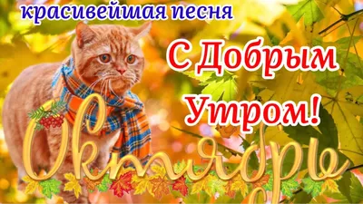 Здравствуй Октябрь!🍁С Добрым Утром! 🍂☕️ Красивейшая Песня! Чудесное  Пожелание Счастливого Октября! - YouTube