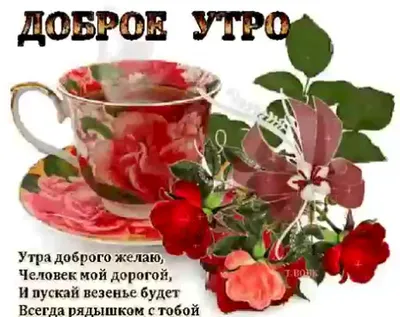 Olgа🌺🌿 on X: "@OlgaLubimova7 Доброе утро, Ольга! ☕🌹🌿🌞  /iMM84XfRUo" / X