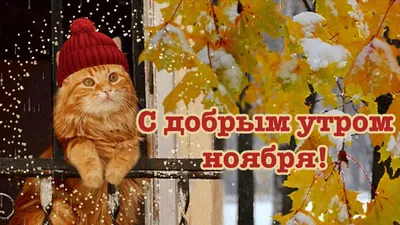 Открытки с добрым утром пятница осень - фото и картинки: 78 штук