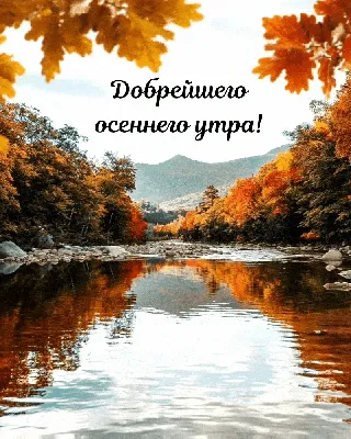 Идеи на тему «Доброе утро, день (осень)» (900+) в 2023 г | доброе утро,  осень, открытки