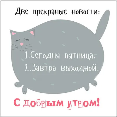 С добрым утром пятницы картинки прикольные, смешные, красивые, необычные