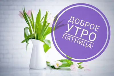 Прикольные картинки "С добрым утром!" (470 шт.)