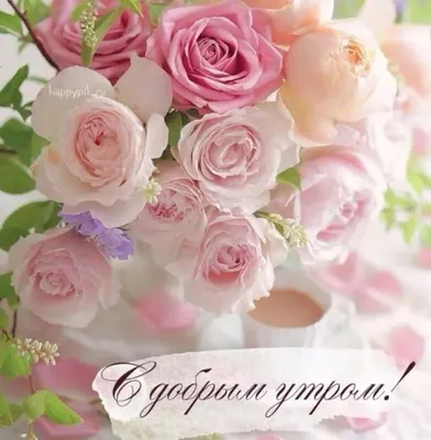 Пин от пользователя Yulia Lisnyak на доске С добрым утром | Маки цветы,  Праздничные открытки, Цветочные фоны