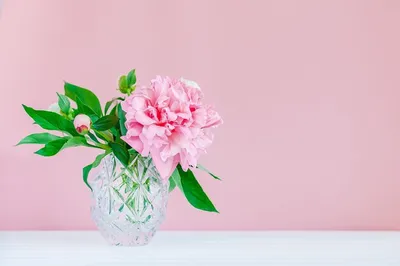 Доброе утро. розовые пионы в хрустальной вазе на розовом фоне дерева,  копией пространства, крупным планом. | Премиум Фото