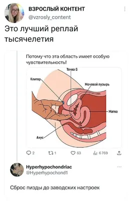 Мотивационные Цитаты Пошлые Фразы | Разноцветные цитаты, Милые цитаты,  Цитаты про обман