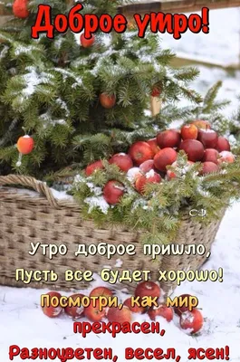 Пин от пользователя Татьяна на доске Доброе утро | Доброе утро, Открытки,  Зимние картинки