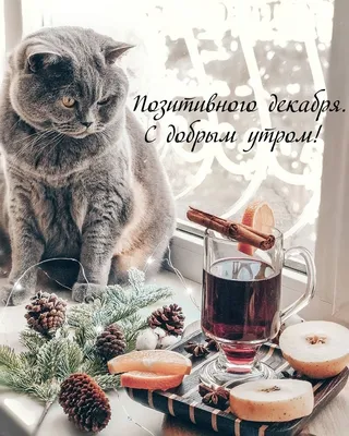 С добрым утром!!!