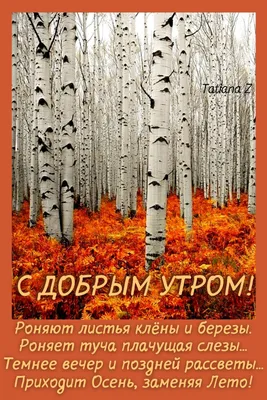 Доброе утро!✨🌺✨ поздняя осень-зима…» — создано в Шедевруме