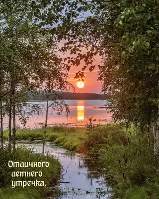 Доброе утро! Безмятежного и счастливого вам дня | Доброе утро, Позитивные  цитаты, Лето