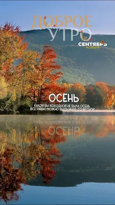 Красивые открытки "Доброго осеннего утра!" (401 шт.) | Доброе утро,  Открытки, Осенние картинки