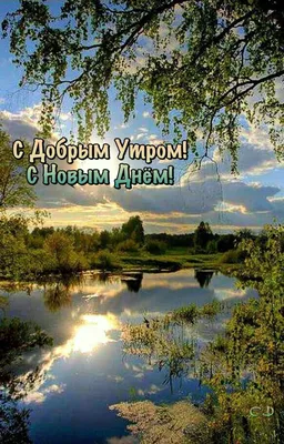 С добрым утром природа картинки