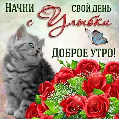 Открытка на доброе утро с котиком и букетом роз - поздравляйте бесплатно на  