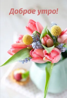 Картинки - пожелания с цветами "Доброе утро" (34 фото) ⭐ Наслаждайтесь  юмором! | Цветы украшения, Красивые цветы, Доброе утро