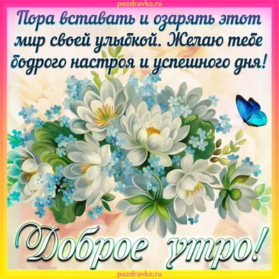 Пин от пользователя Лёля Galustyan на доске Пожелания с добрым утром | Доброе  утро, Луговые цветы, Музыкальные подарки