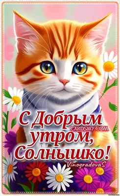 💗☕️🌷Доброе Утро! Хорошего Дня! Заряд Позитива на Весь День!💞 - YouTube