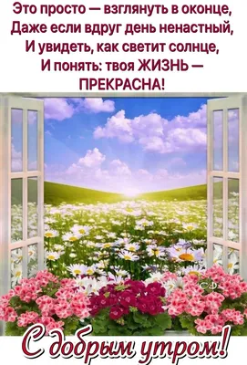 Красивые пожелания с добрым утром: стихи, проза, открытки - МЕТА