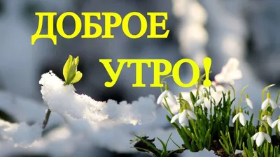 Доброе Утро!Я жду Весну.И думаю,ты тоже!Красивое Музыкальное Поздравление  Хорошего дня! - YouTube