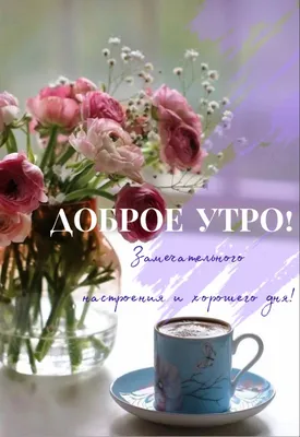 Весеннее 🌸🍃🌞🌿🌸 Утро доброе! | Доброе утро, Утренние цитаты, Смешные  открытки