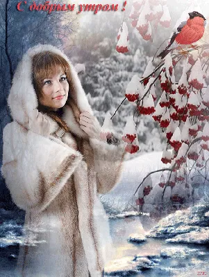 Гиф анимация Девушка в белой шубке смотрит на снегиря, который сидит на  ветках рябины, покрытой снегом, на фоне утреннего зимнего леса (С добрым  утром!) автор Ирис