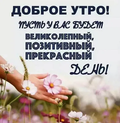 Сима on Twitter: "@kristina7968 Доброе утро Ирочка!! Чудесной тебе субботы  прекрасного настроения!! Улыбайся, и береги себя!! /nUk7F8fZUc"  / Twitter