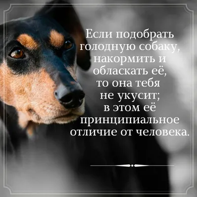 С добрым утром картинки позитивные со смыслом скачать бесплатно