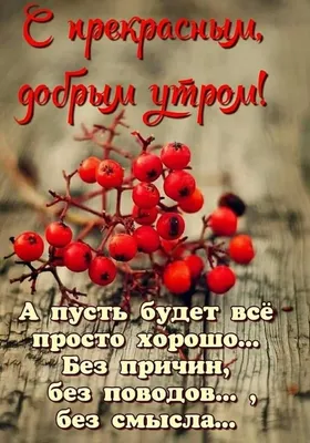 С добрым утром! Жизнь прекрасна!.